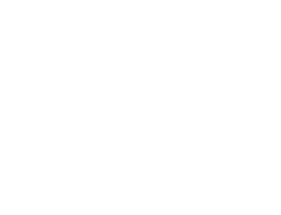 ElectroidFestival Logo